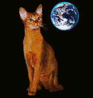 Wuaaah! Vorsicht, ich bin eine Debugkatze!